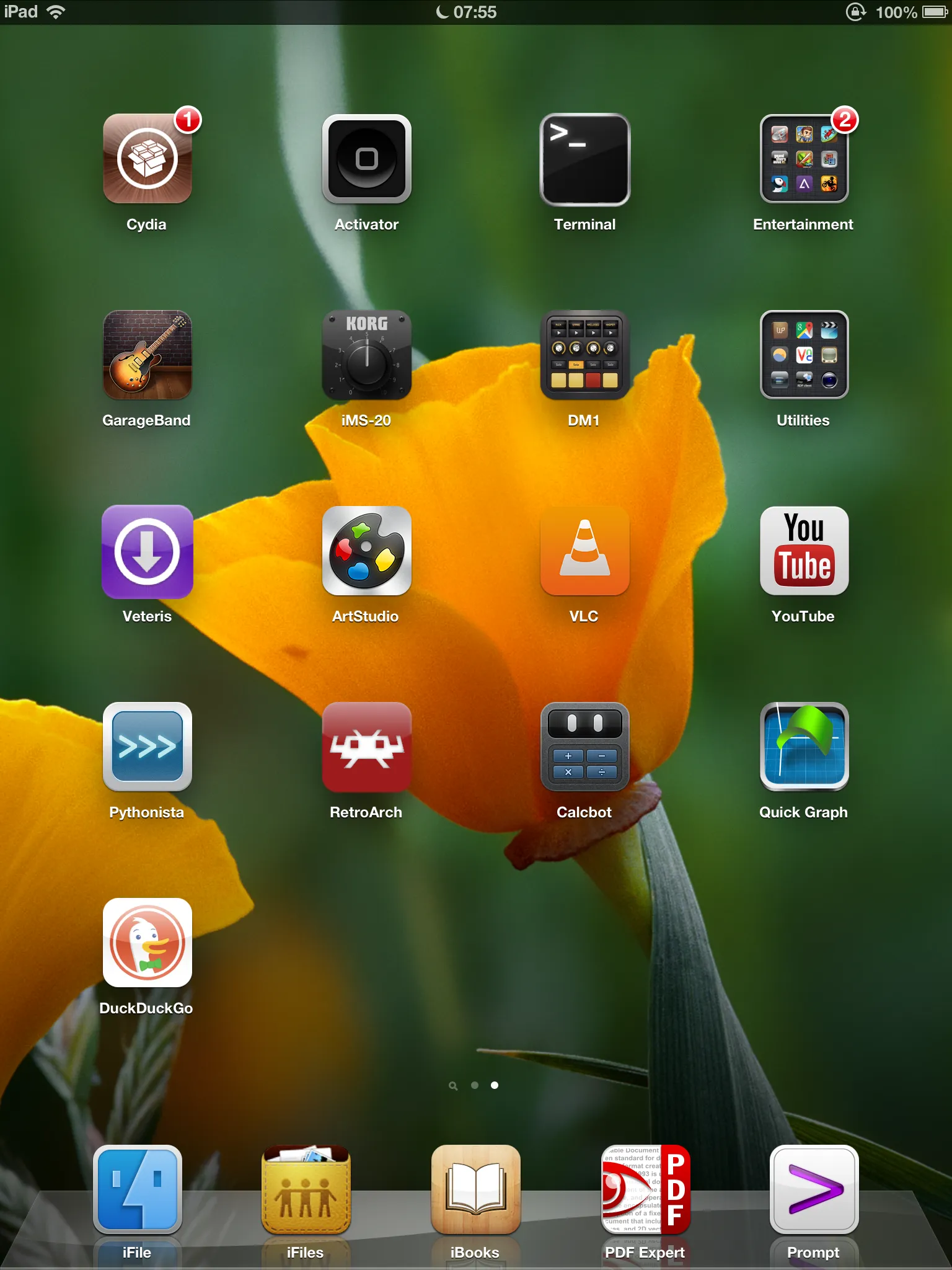 The selection of apps I keep on the homepage is minimal, and the ones in the dock are targeted for reading